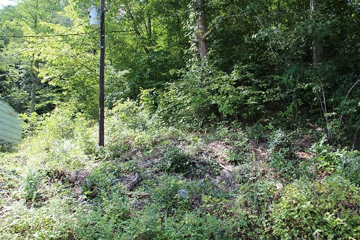 Photo of 479 Poor Valley Rd
