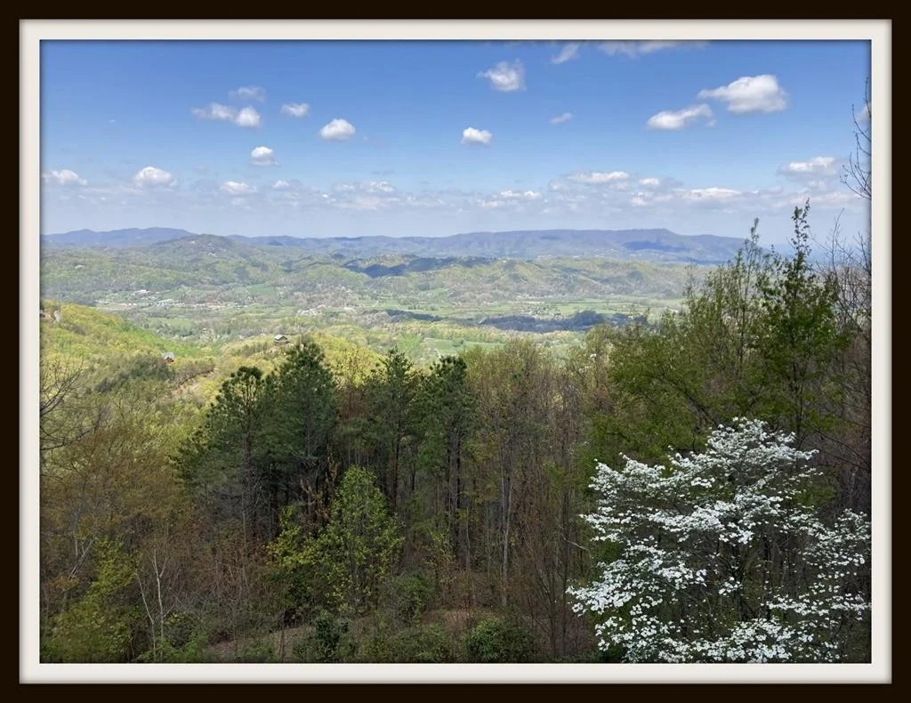 Photo of 3750 COVE MOUNTAIN Road