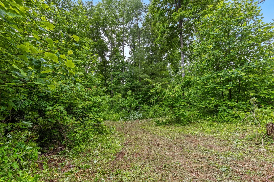 Photo of 244 Luminary Firetower Road