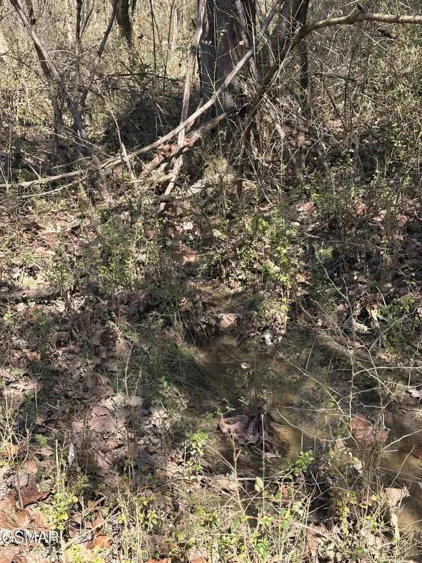 Photo of 24265 S Mohawk Rd
