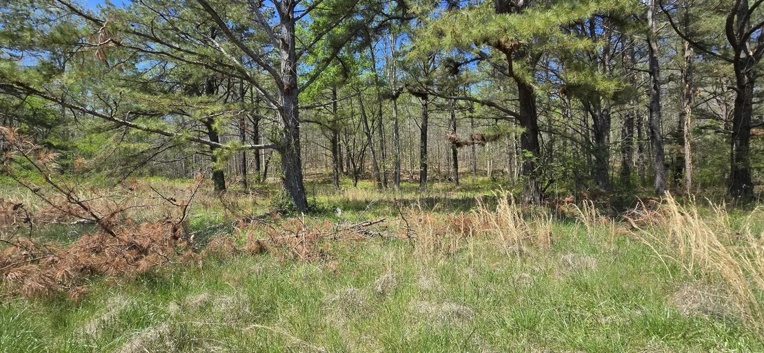 Photo of 7021 Taylor Creek Loop