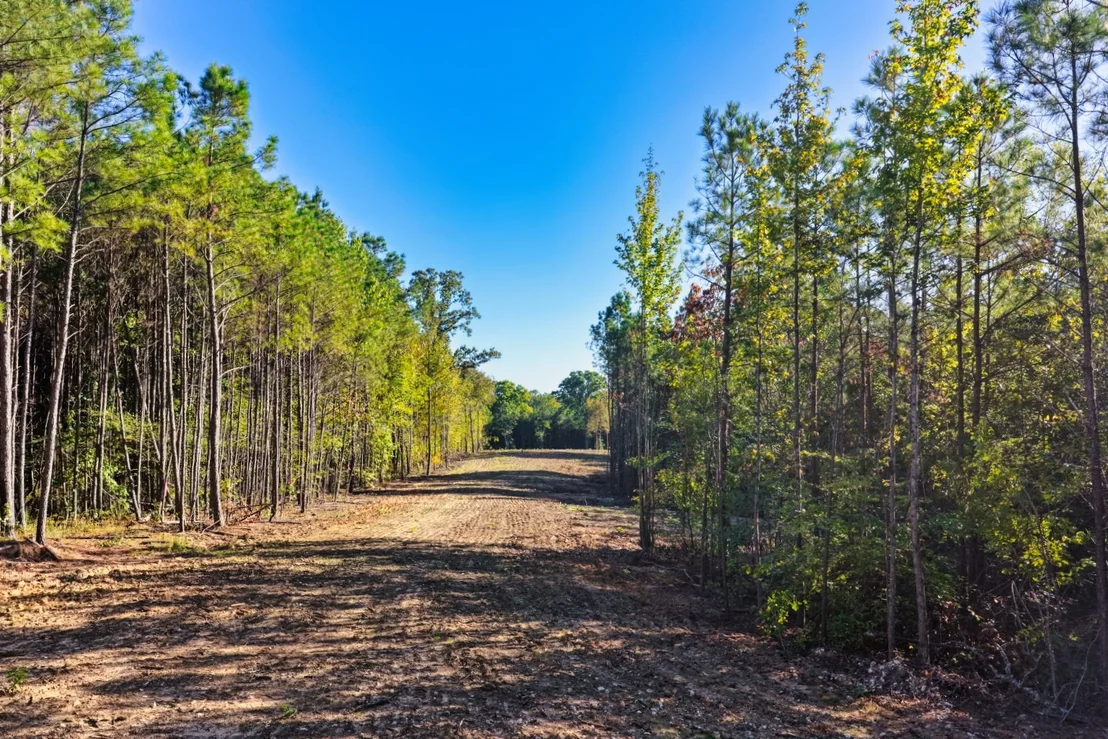 Photo of 0 Williams Grove Road