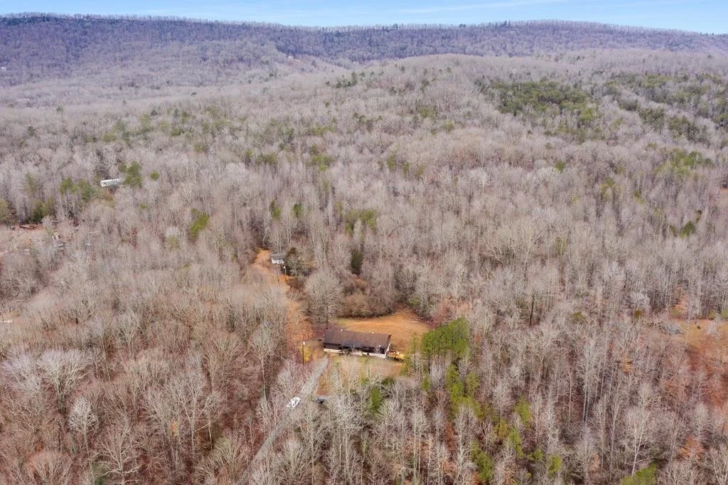 Photo of 3577 Dixie Lee Highway