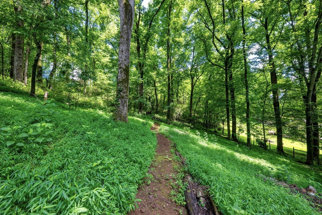 Photo of 1719 Hidden Harbor Road