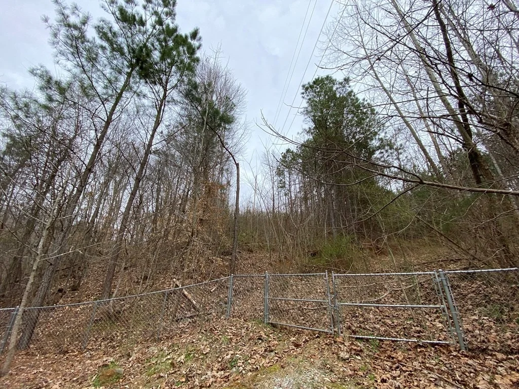 Photo of 4841 Old Walland Highway