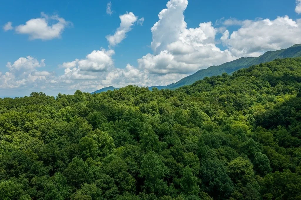 Photo of 1011 Blowing Cave Road