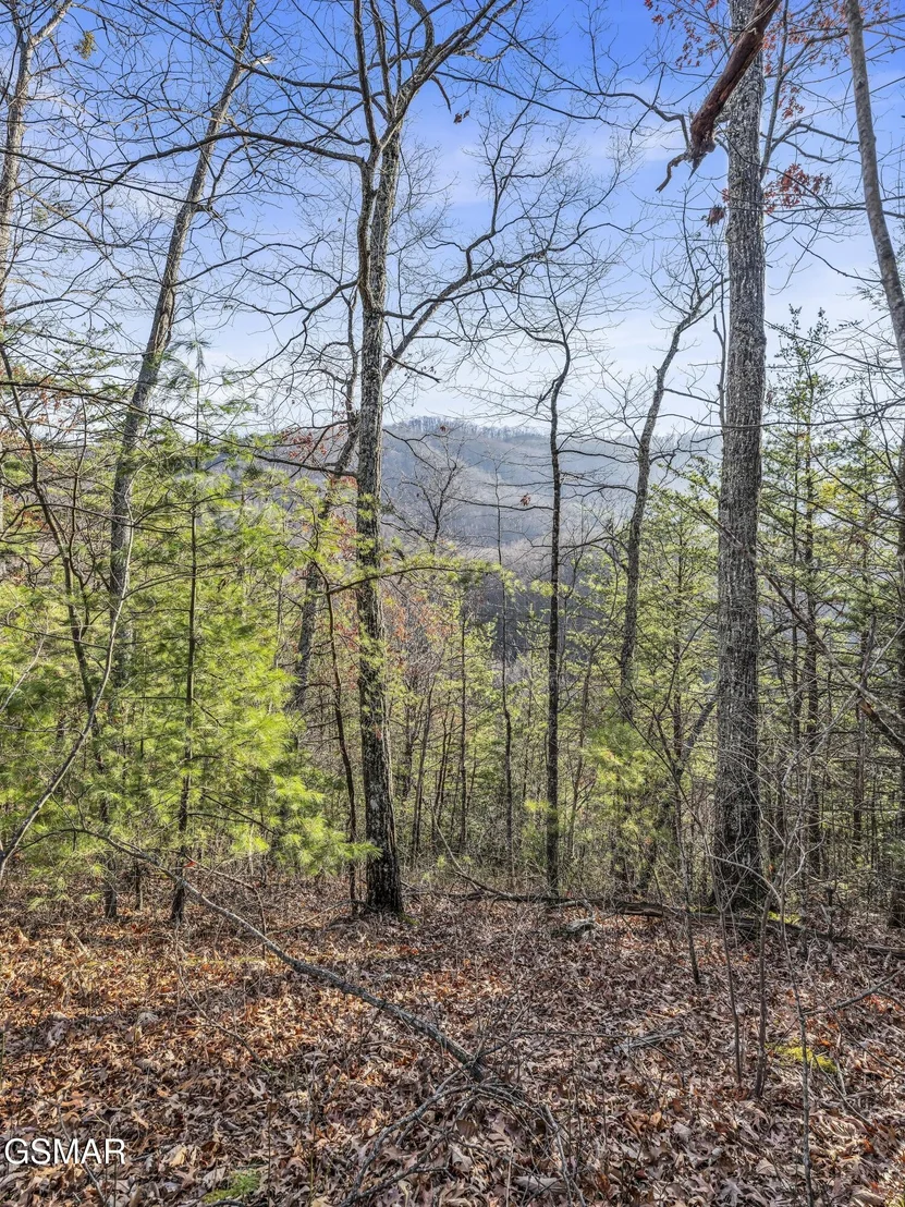 Photo of 3519 Forest Trails Drive