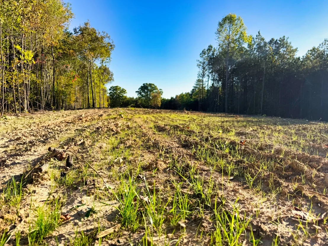 Photo of 0 Williams Grove Road