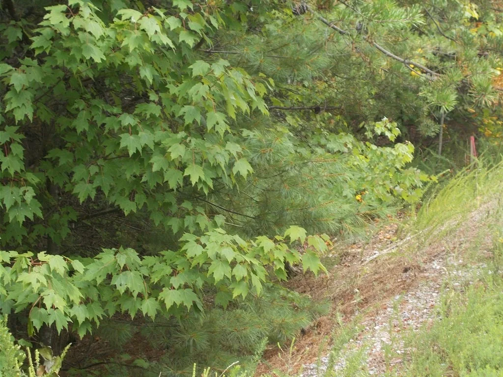 Photo of 0 Stackstone Road