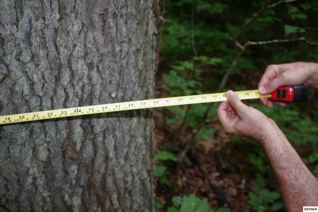 Photo of 0 Off Collier Loop