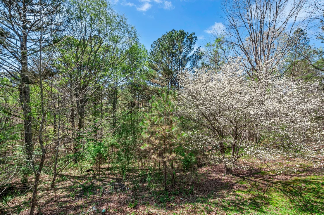 Photo of 1425 Wesley Rd