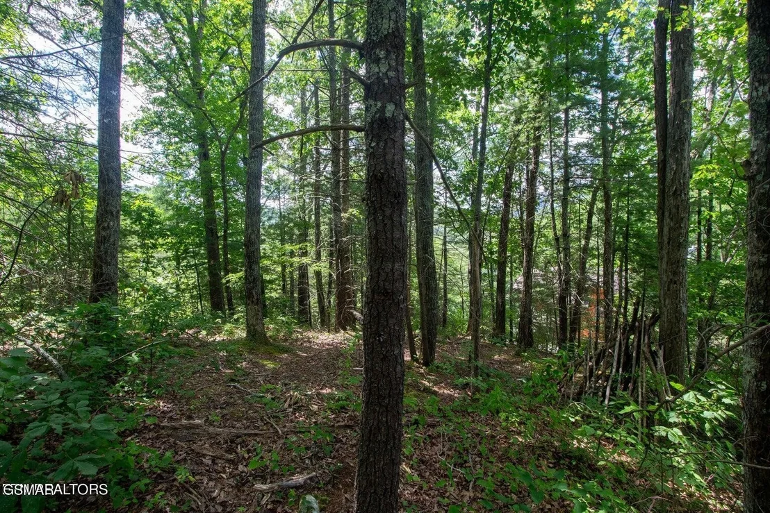 Photo of 13 High Top Loop