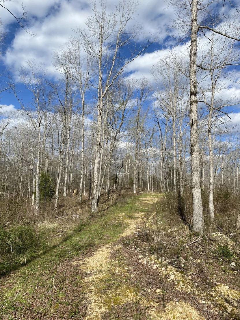 Photo of 401 Napier Rd