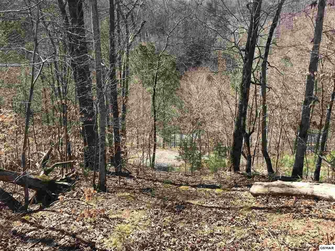 Photo of 1718 Highway 25E
