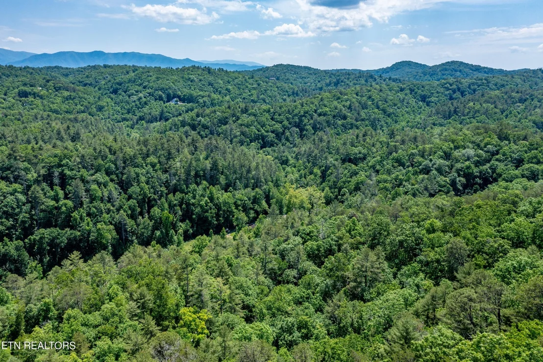 Photo of 0 Chilhowee Loop