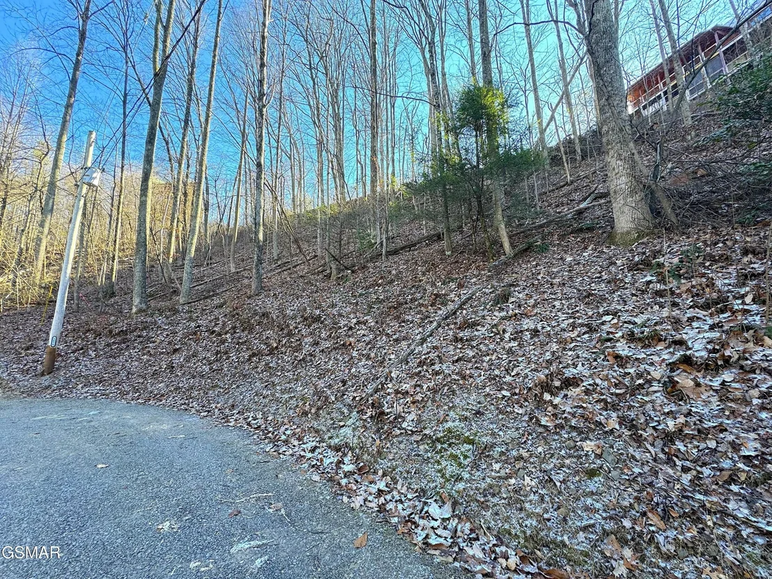 Photo of 1872 Orchard Drive