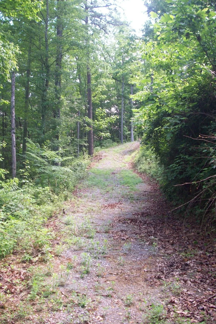 Photo of 429 Chetola Tr