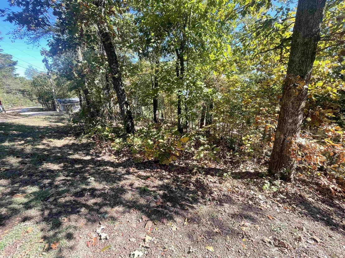 Photo of 87 CR 262 RD