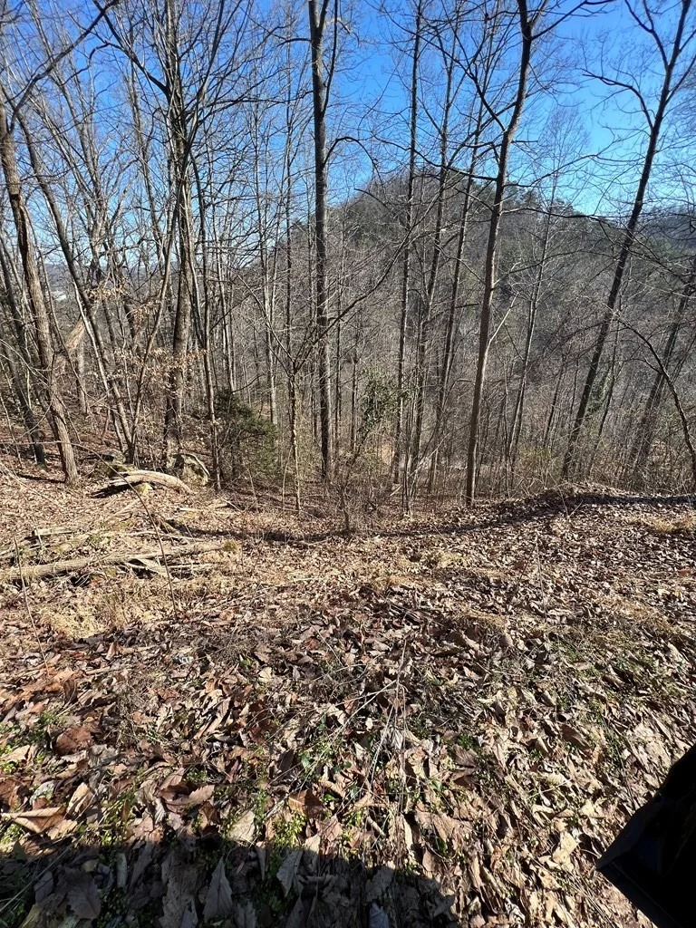 Photo of 350 Sugar Mountain Way
