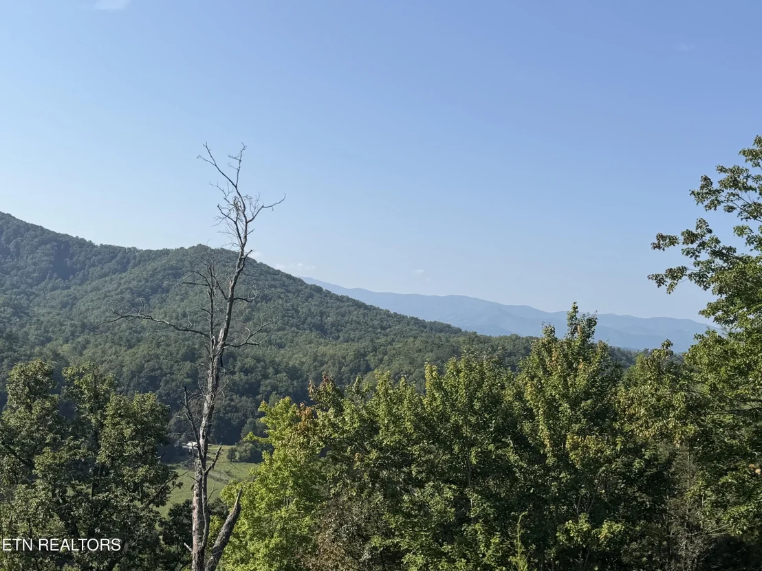 Photo of 4228 Wears Valley Rd