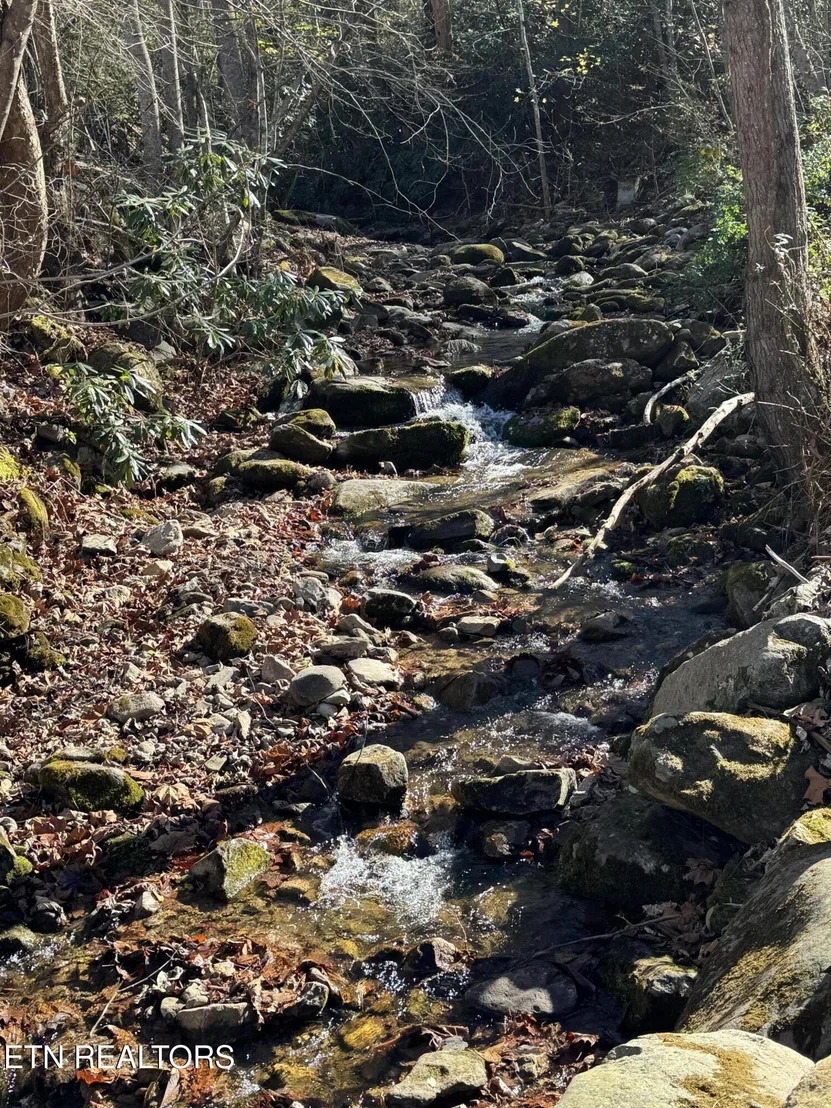 Photo of 633 Dry Fork Rd