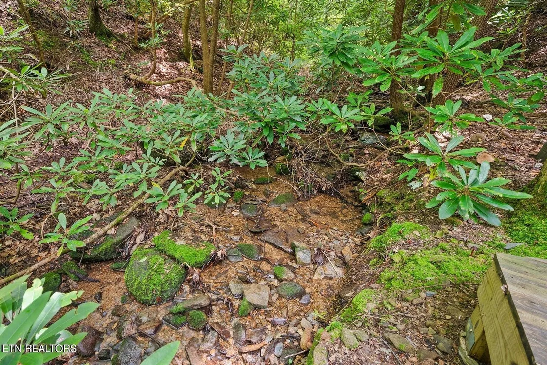 Photo of 3824 Bear Camp Way