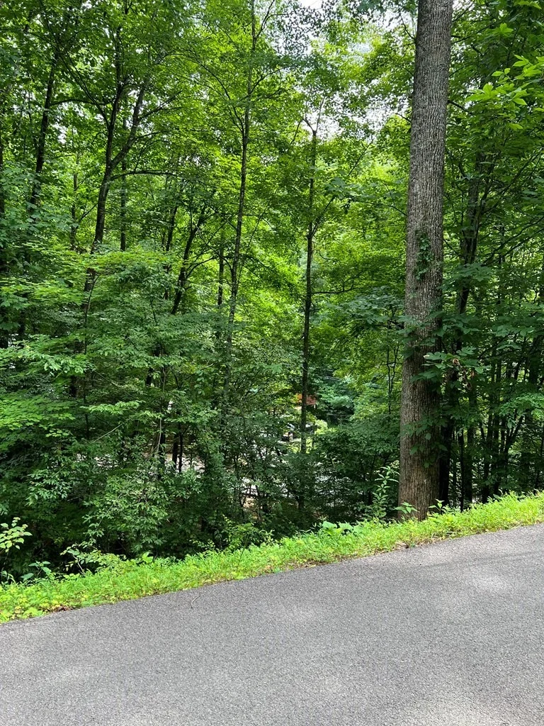 Photo of 406 Ski View Lane