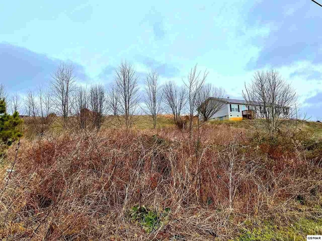 Photo of 7 Ebenezer Road
