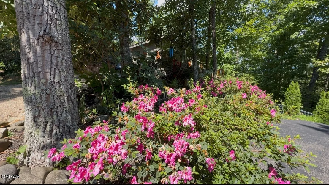 Photo of 216 Zoder Drive