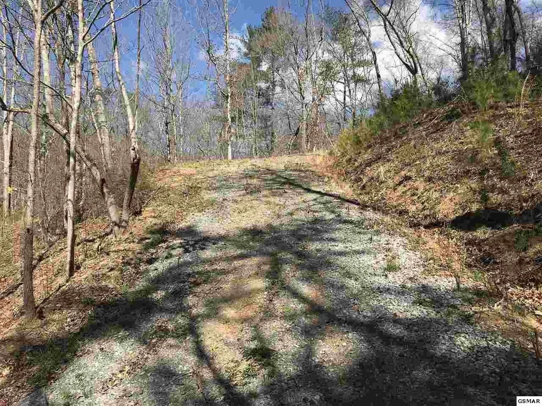 Photo of 1718 Highway 25E