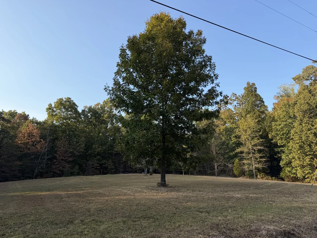 Photo of 0 Magnolia Lane