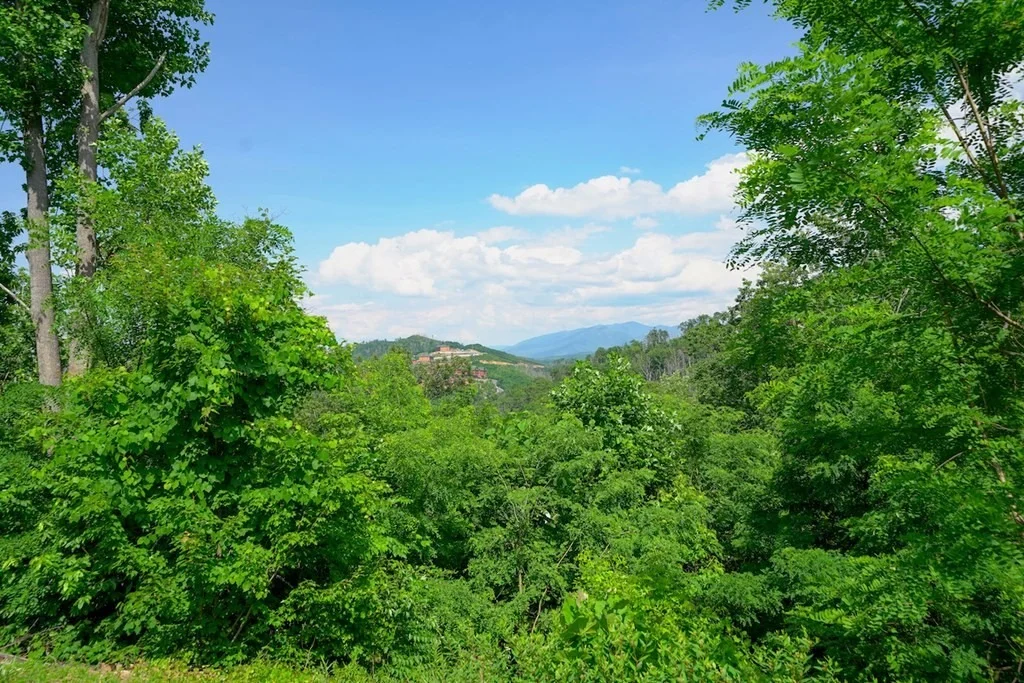 Photo of 714 Pinecrest Drive