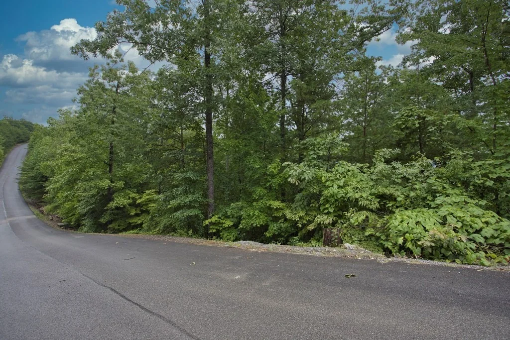 Photo of 19 STACKSTONE Road