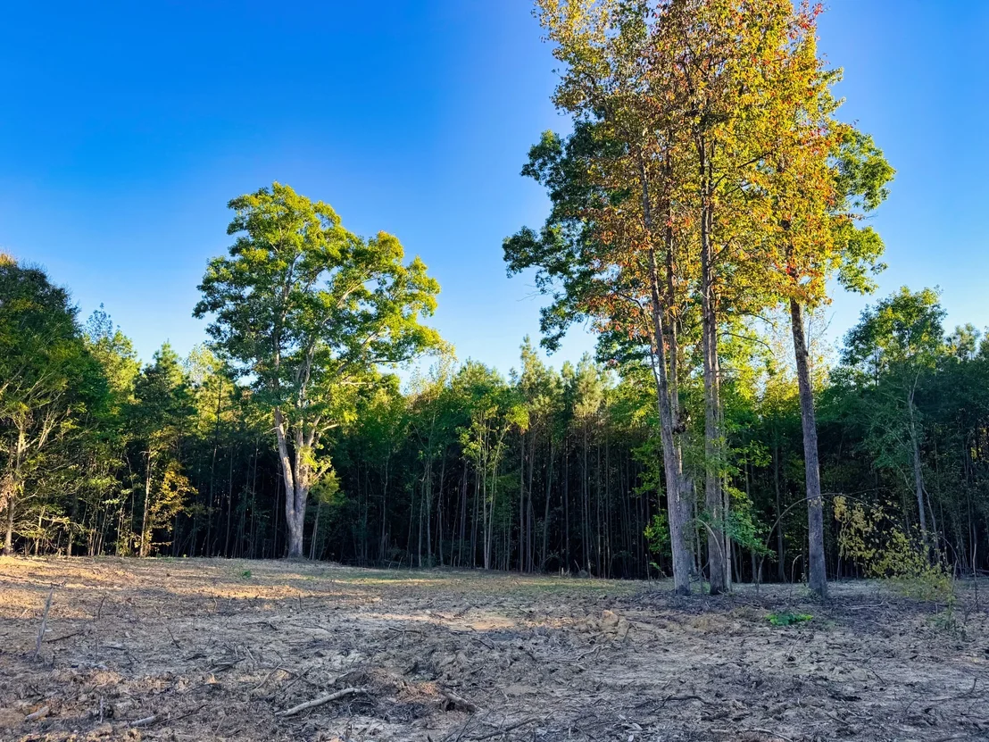 Photo of 0 Williams Grove Road