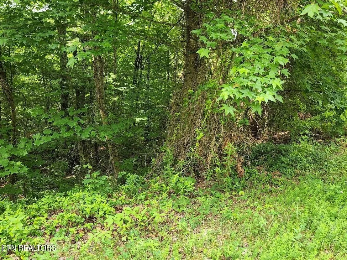 Photo of 445 Hawken Drive