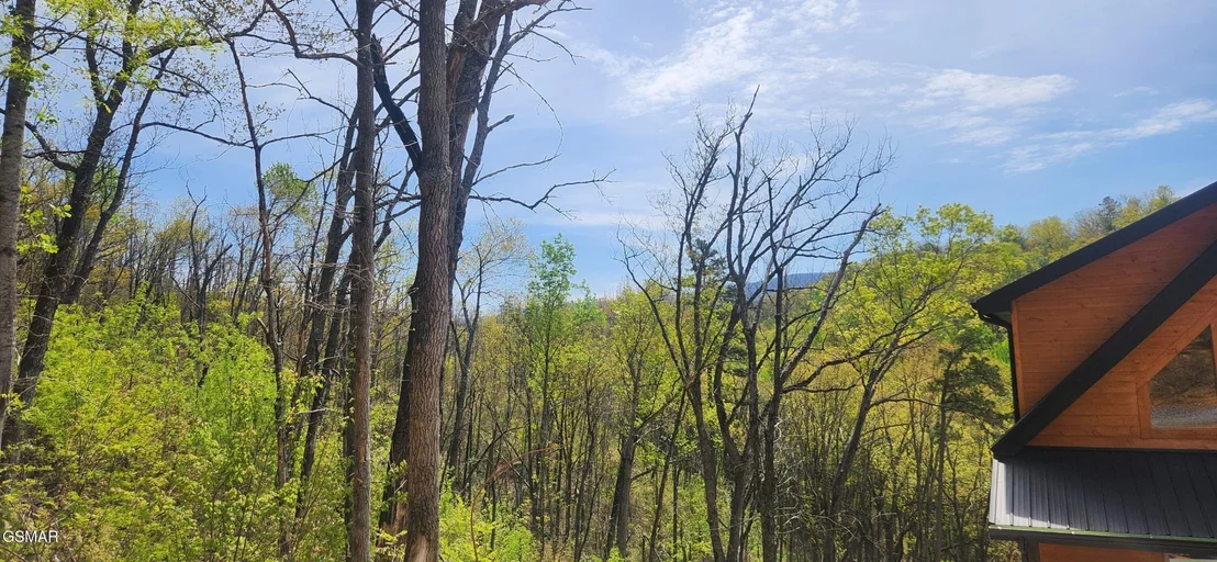Photo of 1516 Headrick Lead