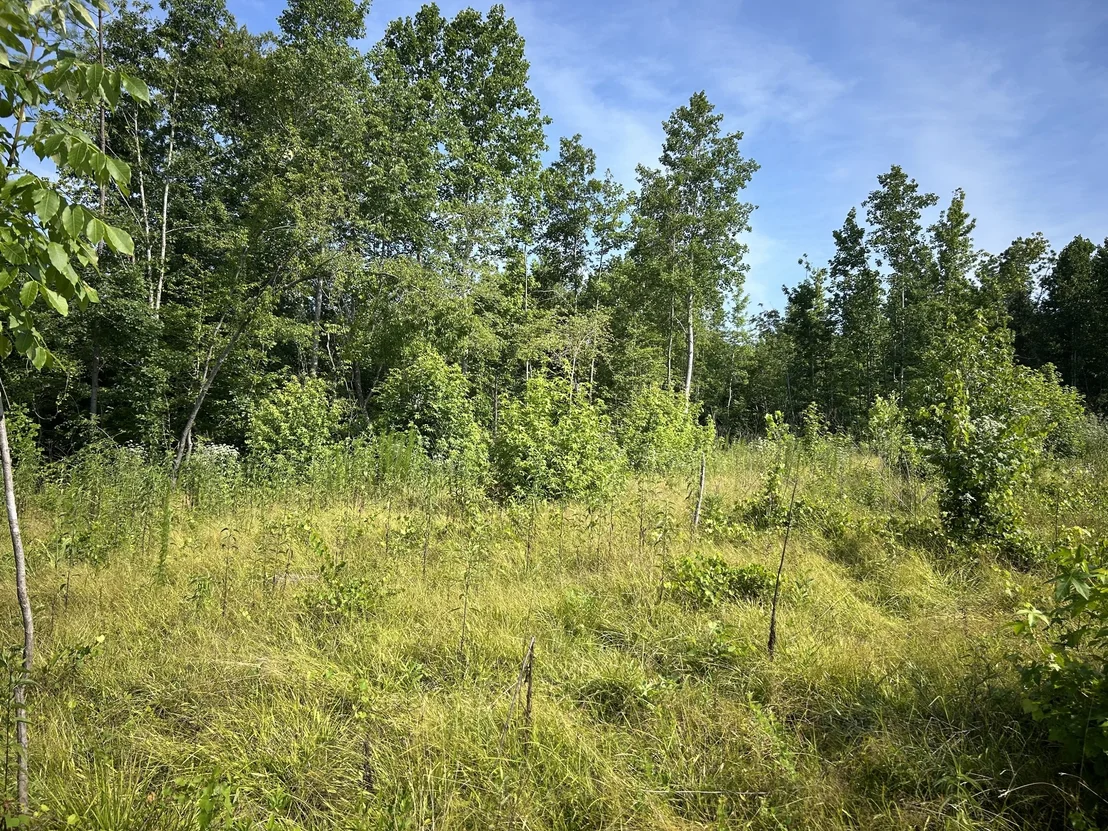 Photo of 2853 Old Natchez Trace Trail