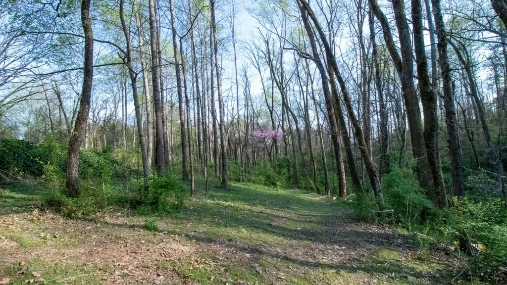 Photo of 2061 Ranch Road