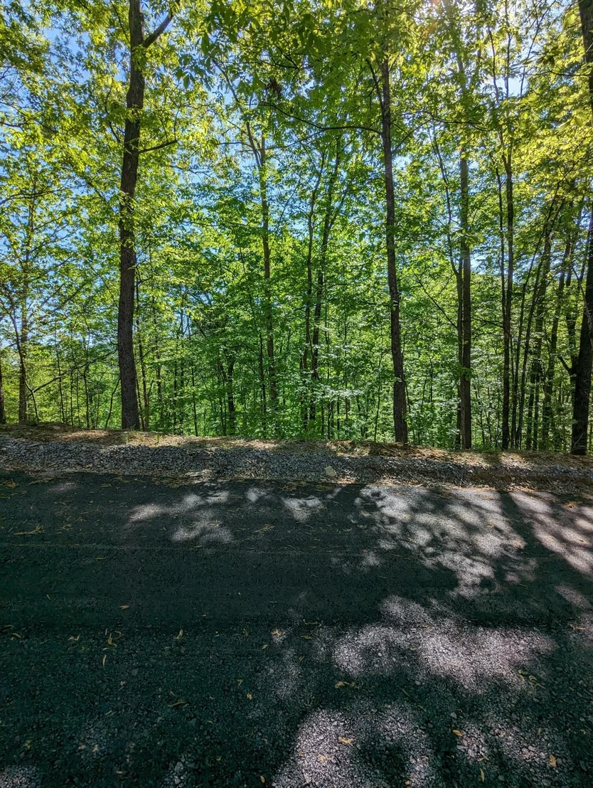 Photo of 2317 Grey Fox Run