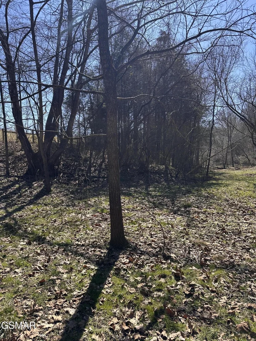 Photo of 24265 S Mohawk Rd