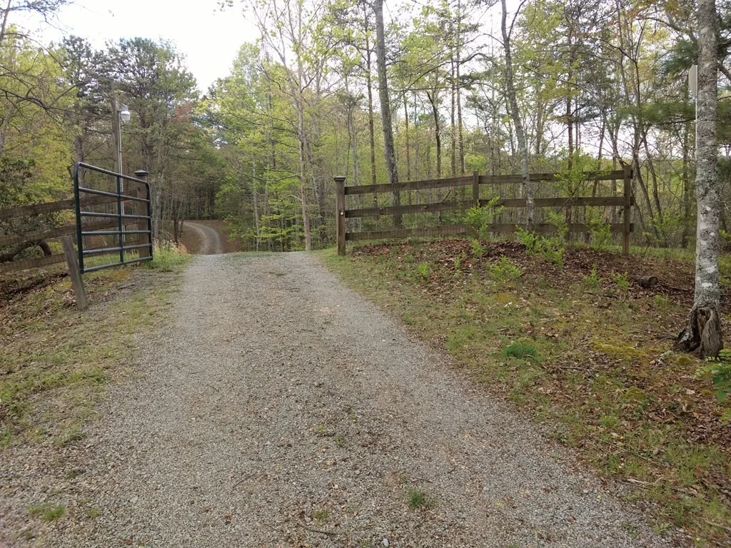 Photo of 4230 Chamberlain Lane