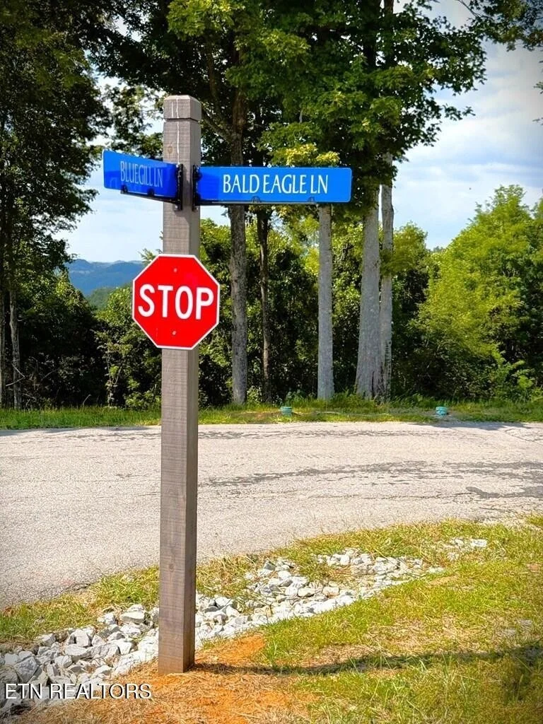 Photo of 41 Bald Eagle Rd