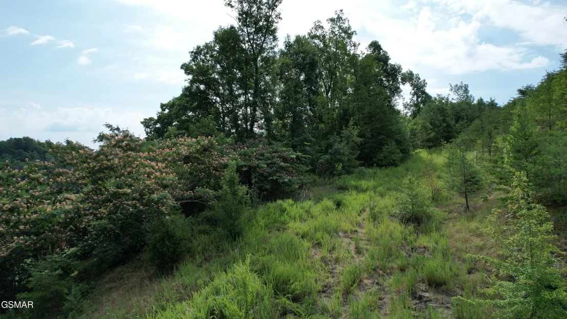 Photo of 3150 Cherokee Valley Drive