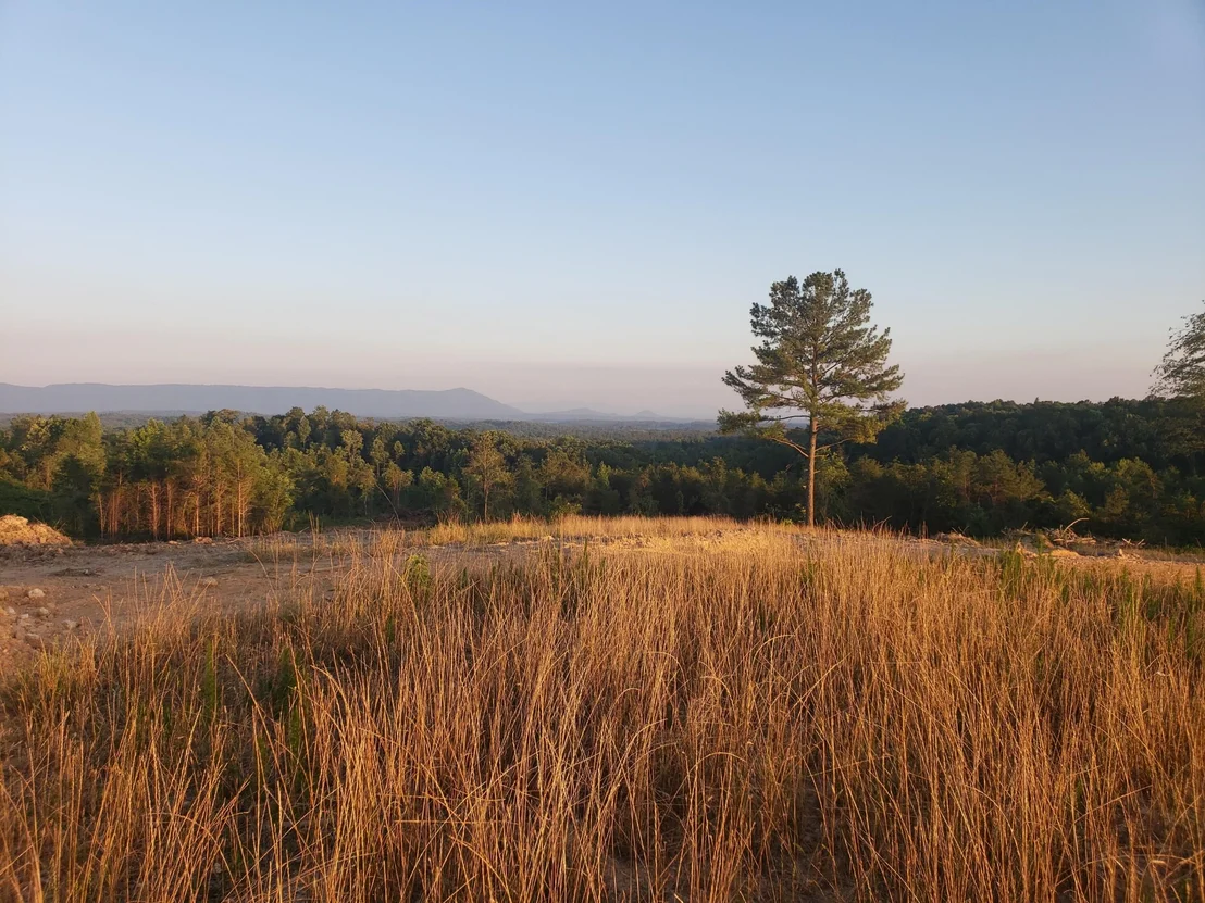Photo of 127 County Road 965