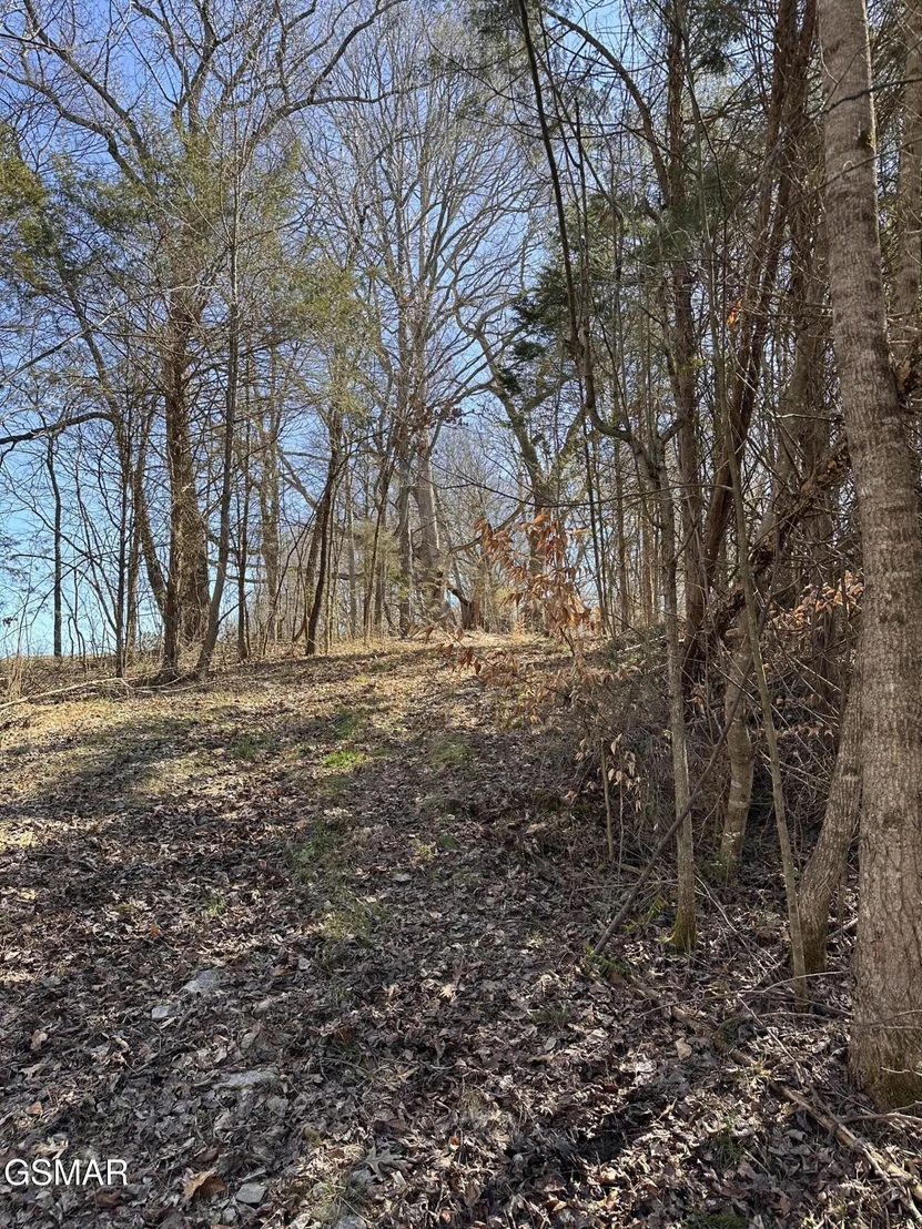 Photo of 24265 S Mohawk Rd