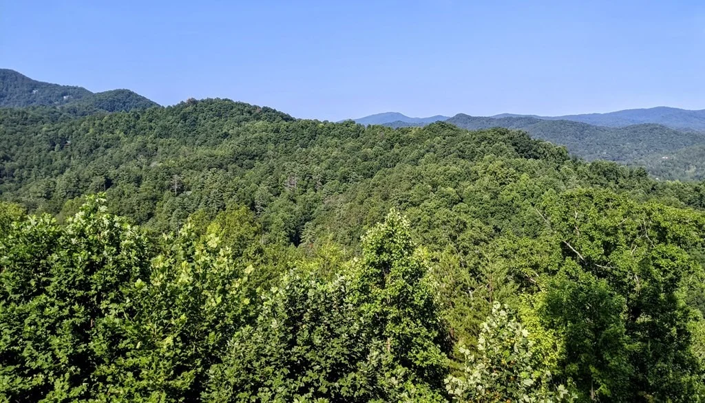 Photo of 2347 Headrick Lead