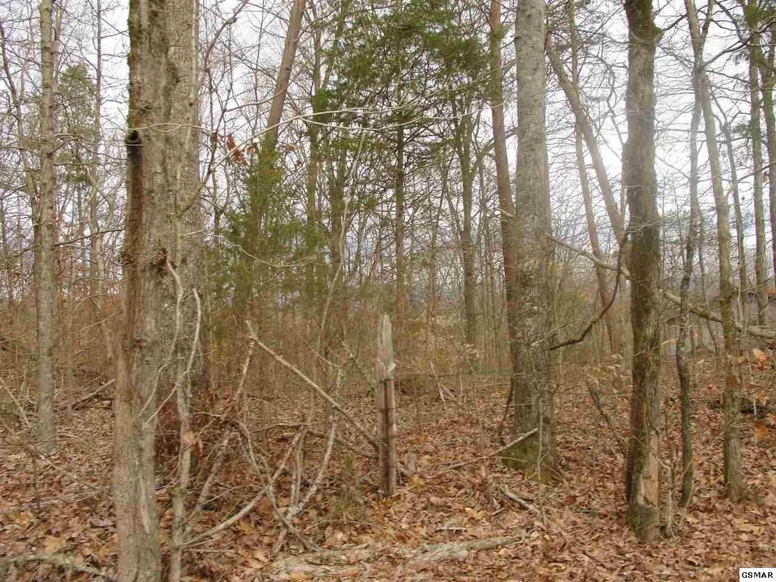 Photo of 1193 Flat Creek Road