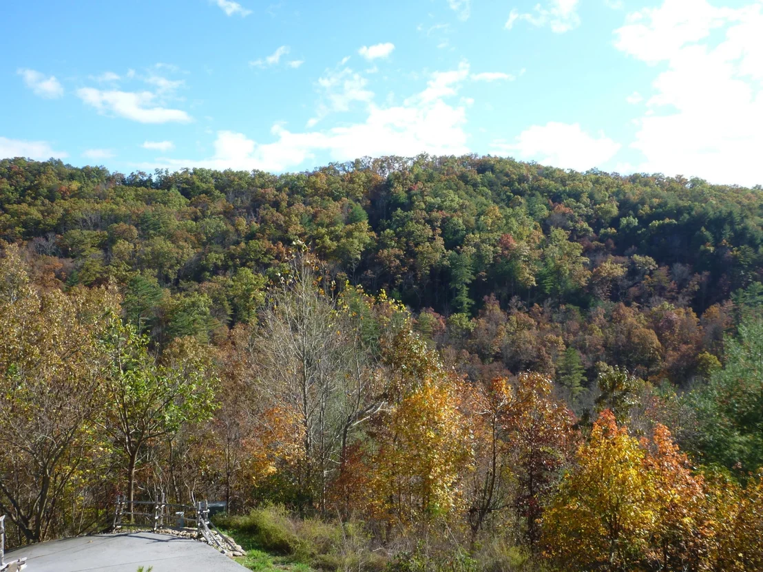 Photo of 145 Anatole Pass