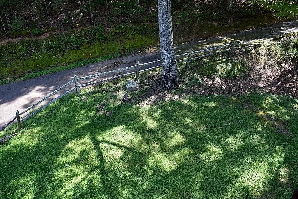 Photo of 2502 Bobcat Way