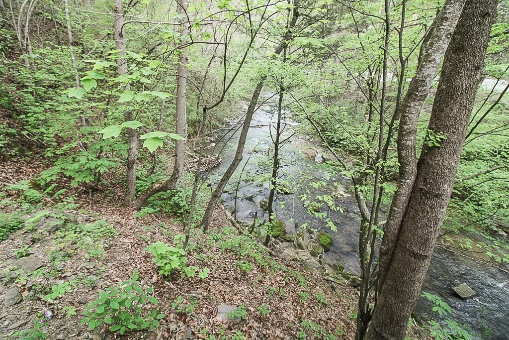 Photo of 2002 Hidden Hollow Way